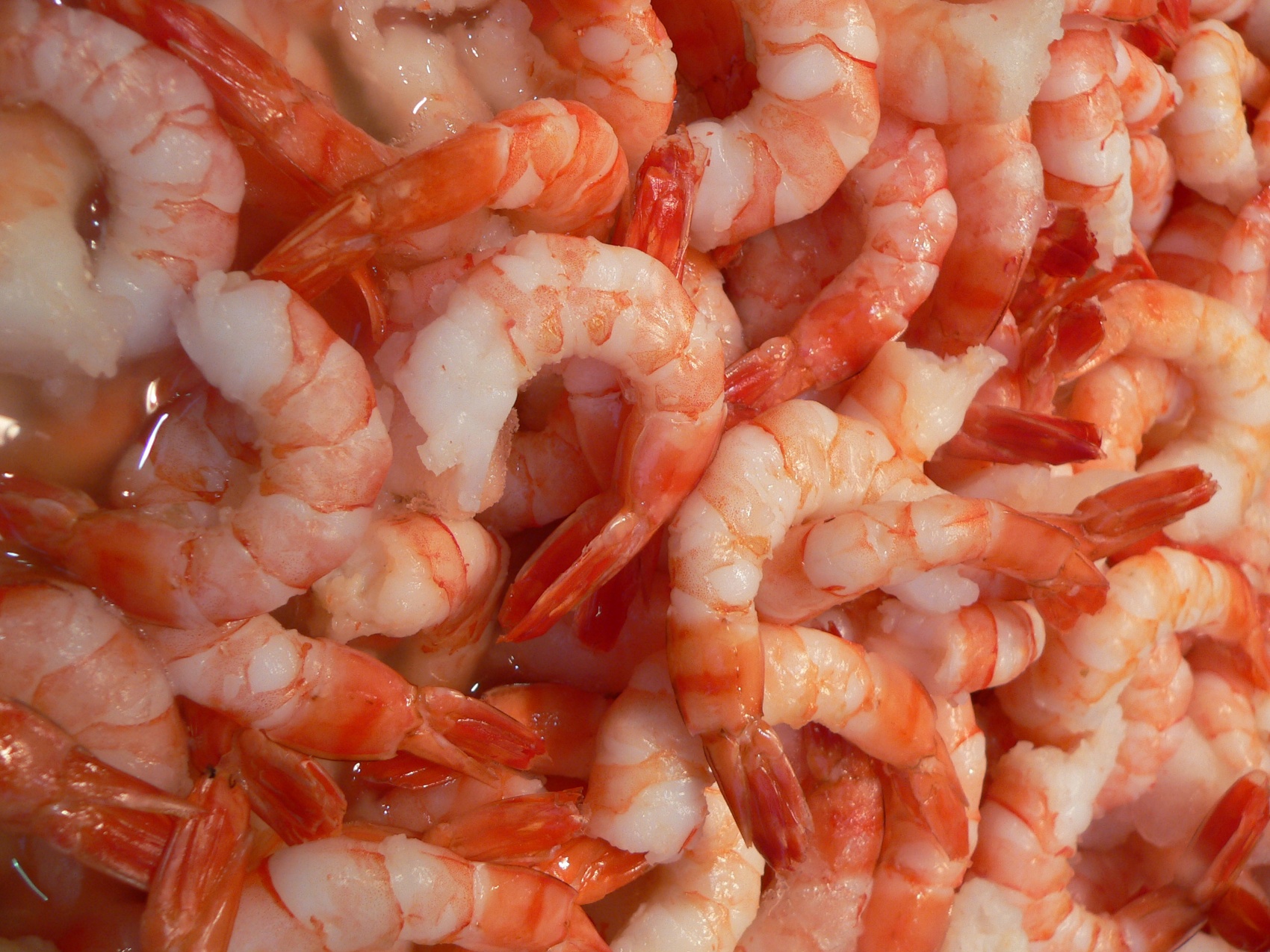 El procesamiento del marisco plantea numerosos retos, entre ellos, los altos estndares de higiene, estrictos requisitos de trazabilidad...