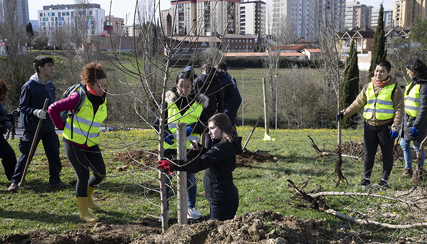 Pamplona, con m�s de 120.000 �rboles, cuenta con 470 especies diferentes