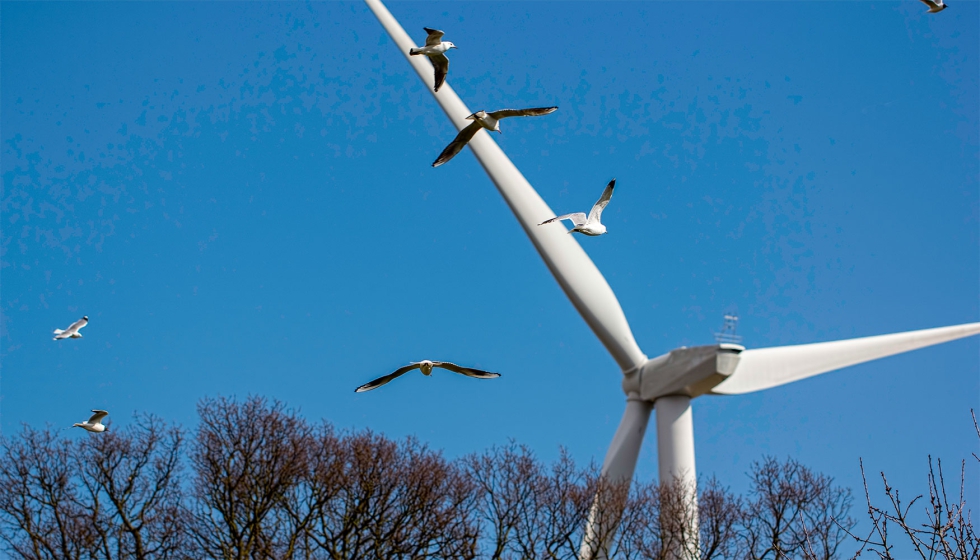 Para AEE se pretende imponer una norma mal definida, que pone en jaque tanto el presente como el futuro de una fuente de energ�a limpia...