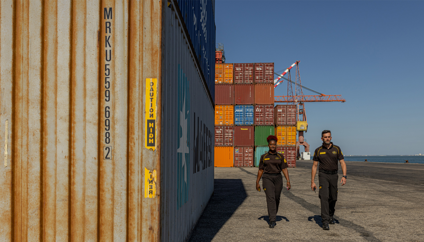 Los profesionales de Prosegur Security cuentan con formacin en normativa internacional, gestin de accesos...