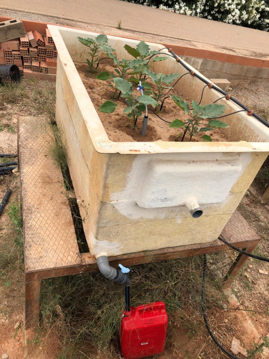 Detalle del plot experimental y recogida de lixivados en el cultivo de berenjena