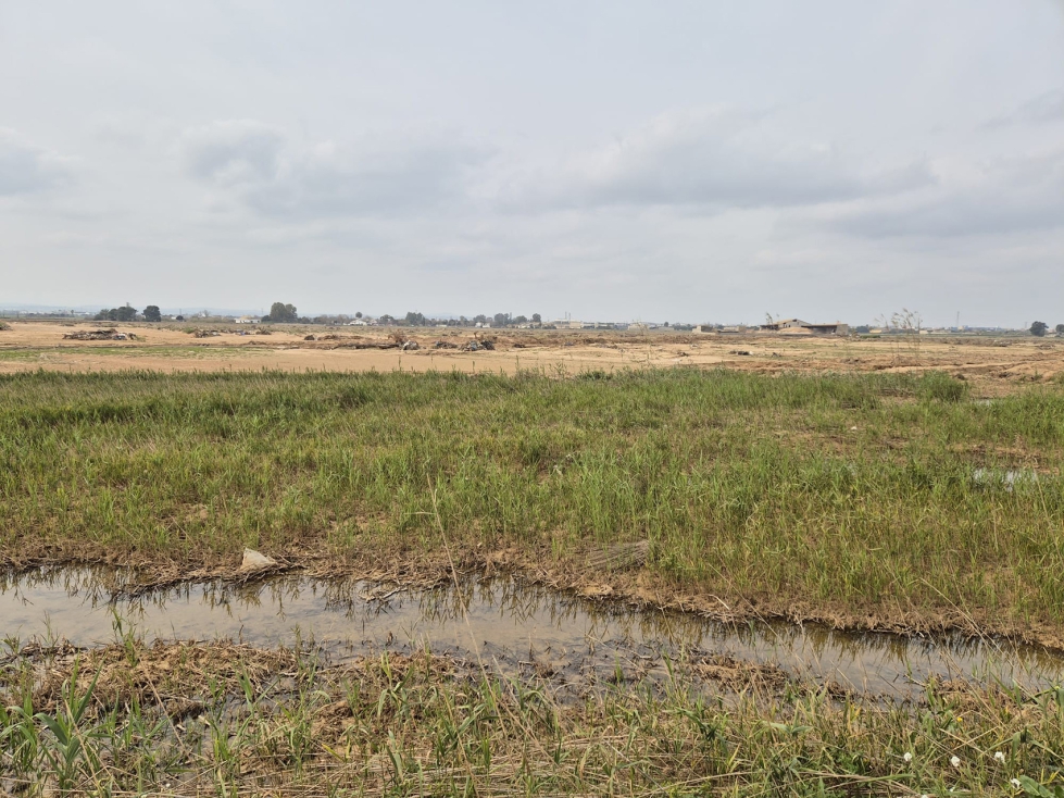 Los beneficiarios recibirn el importe de la ayuda en sus cuentas corrientes en los prximos das