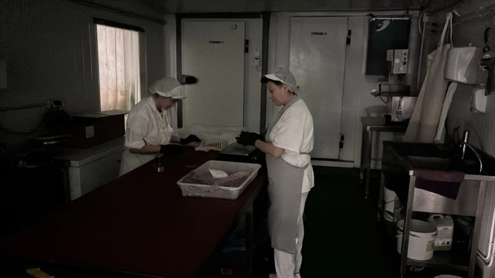 Operarios de una industria c�rnica trabajan sin luz tras el apag�n el�ctrico. Foto: Efeagro/Bartolom� S�nchez