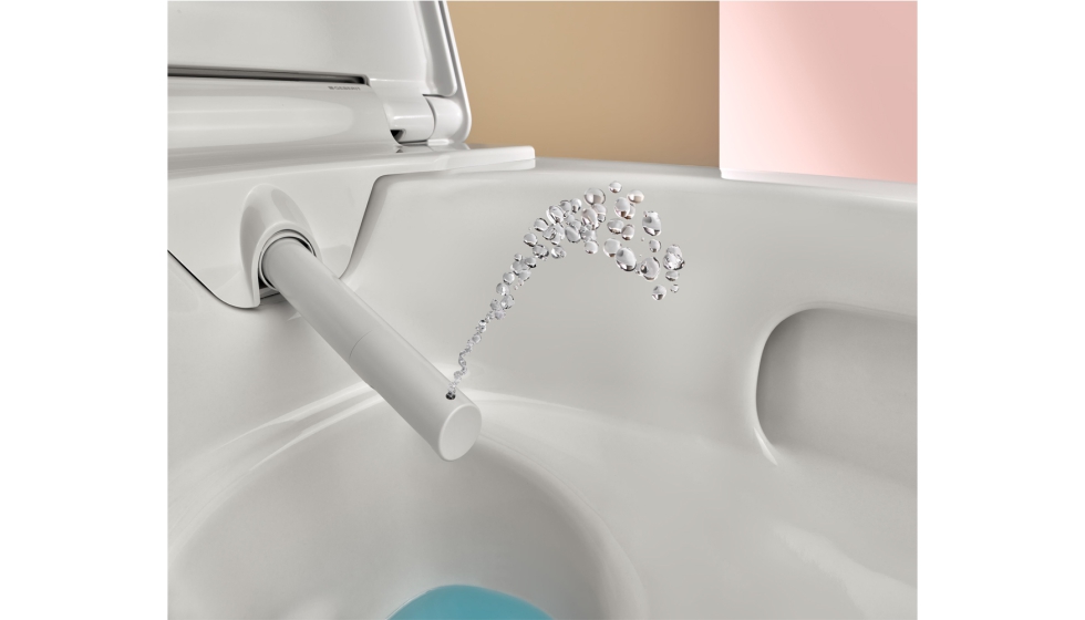 La c�nula de lavado �esta es de Geberit Aquaclean Alba� es la base de cualquier inodoro bid�, aunque estos sistemas combinan muchas otras tecnolog�as...