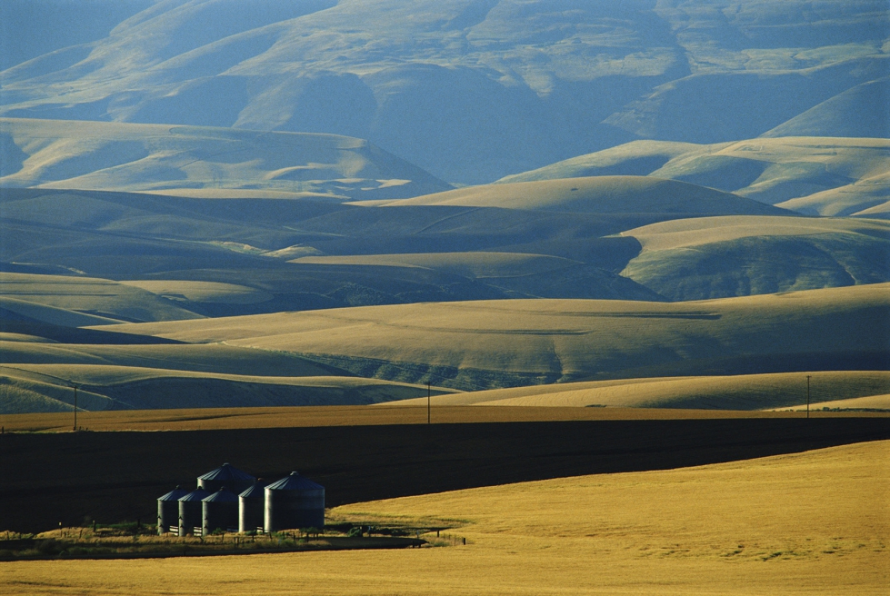 Esta alianza tiene un claro objetivo: facilitar el emprendimiento en el medio rural mediante una gesti�n urban�stica m�s realista y t�cnica...