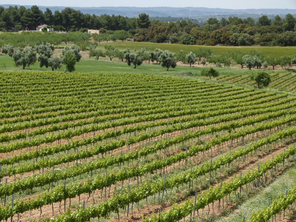 En el marco del acuerdo se impulsar�n foros y estrategias de desarrollo local durante los pr�ximos meses