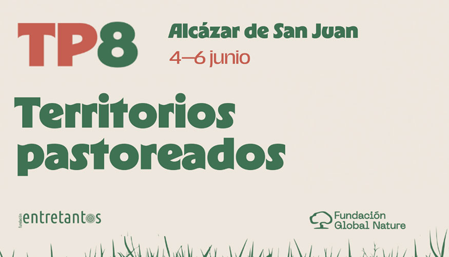 Foto de Alczar de San Juan (Ciudad Real) acoge el encuentro sobre ganadera extensiva y pastoreo