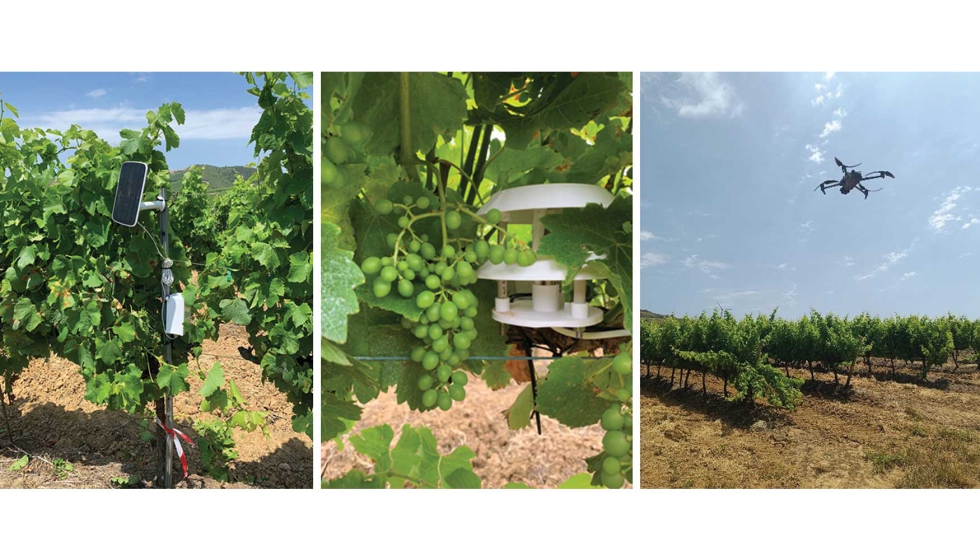 Figura 2: Monitorizao proximal e remota ao longo da campanha agrcola de 2024
