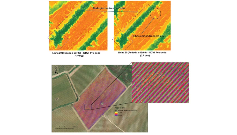 Figura 3: Exemplo do processamento de imagens por deteo remota com mapas de variabilidade espacial e temporal
