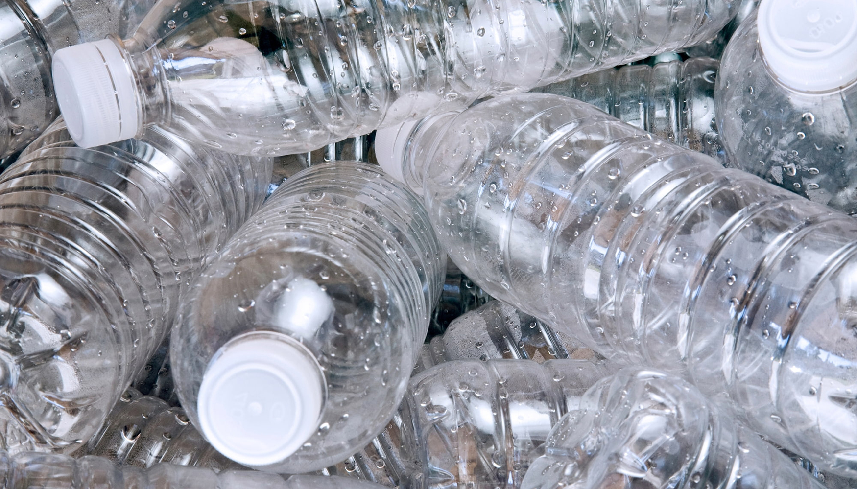 Joan Fern�ndez Gajate, Local Technical Manager de T�V Rheinland...