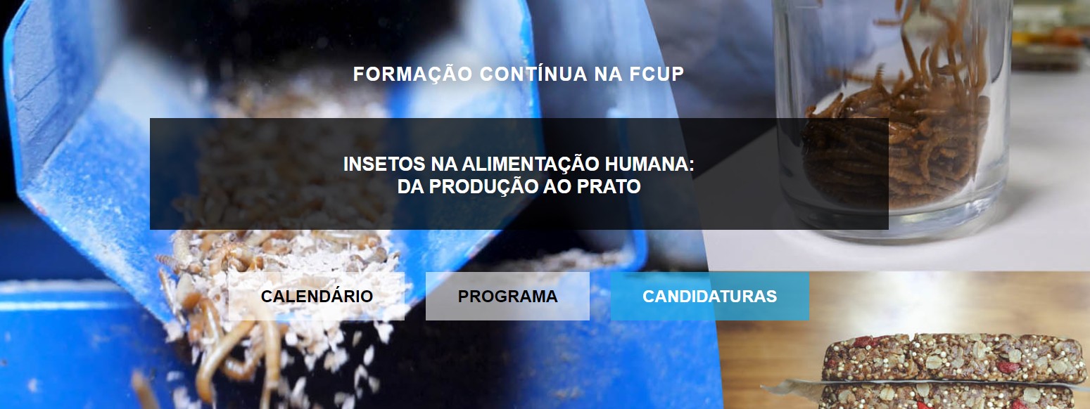Foto de O futuro da alimentao sustentvel j comeou e est mais perto do que imagina