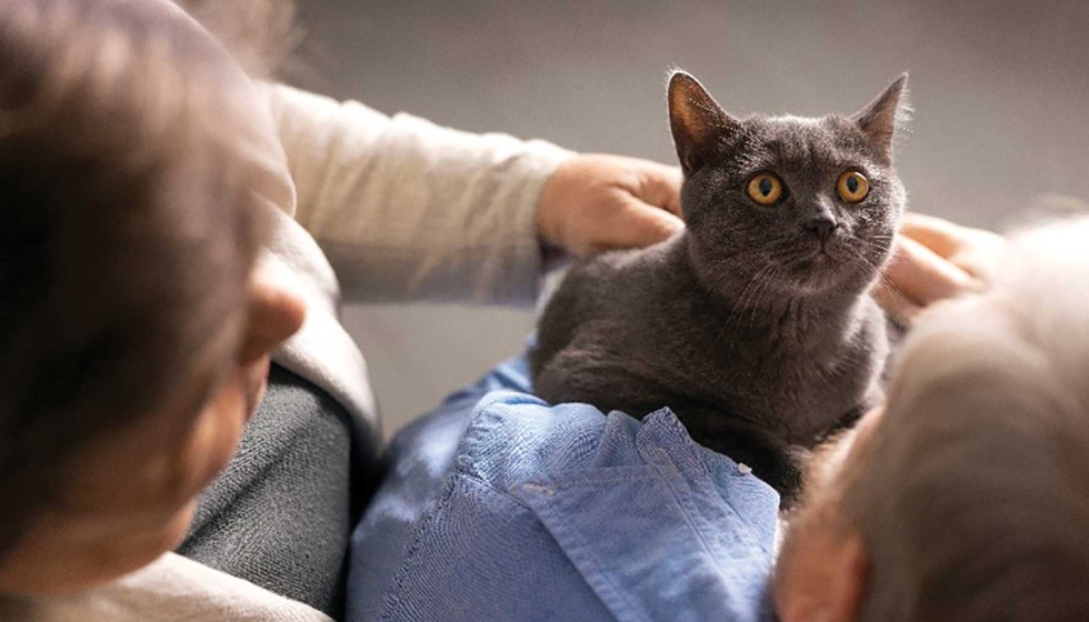Los catalanes obtienen el cuarto puesto en Espa�a en lo que a la defensa de esta medida se refiere, superando el 77% de personas a favor...