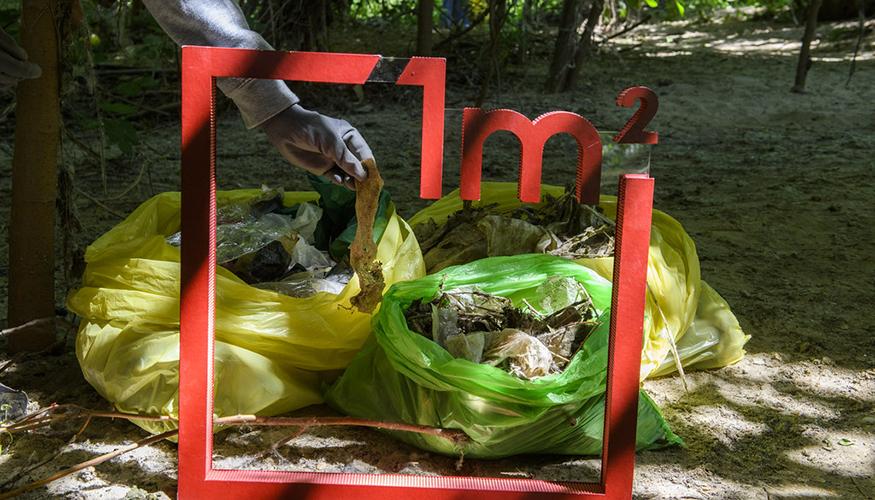 En la edicin de 2024, el Proyecto Libera logr movilizar a 15...