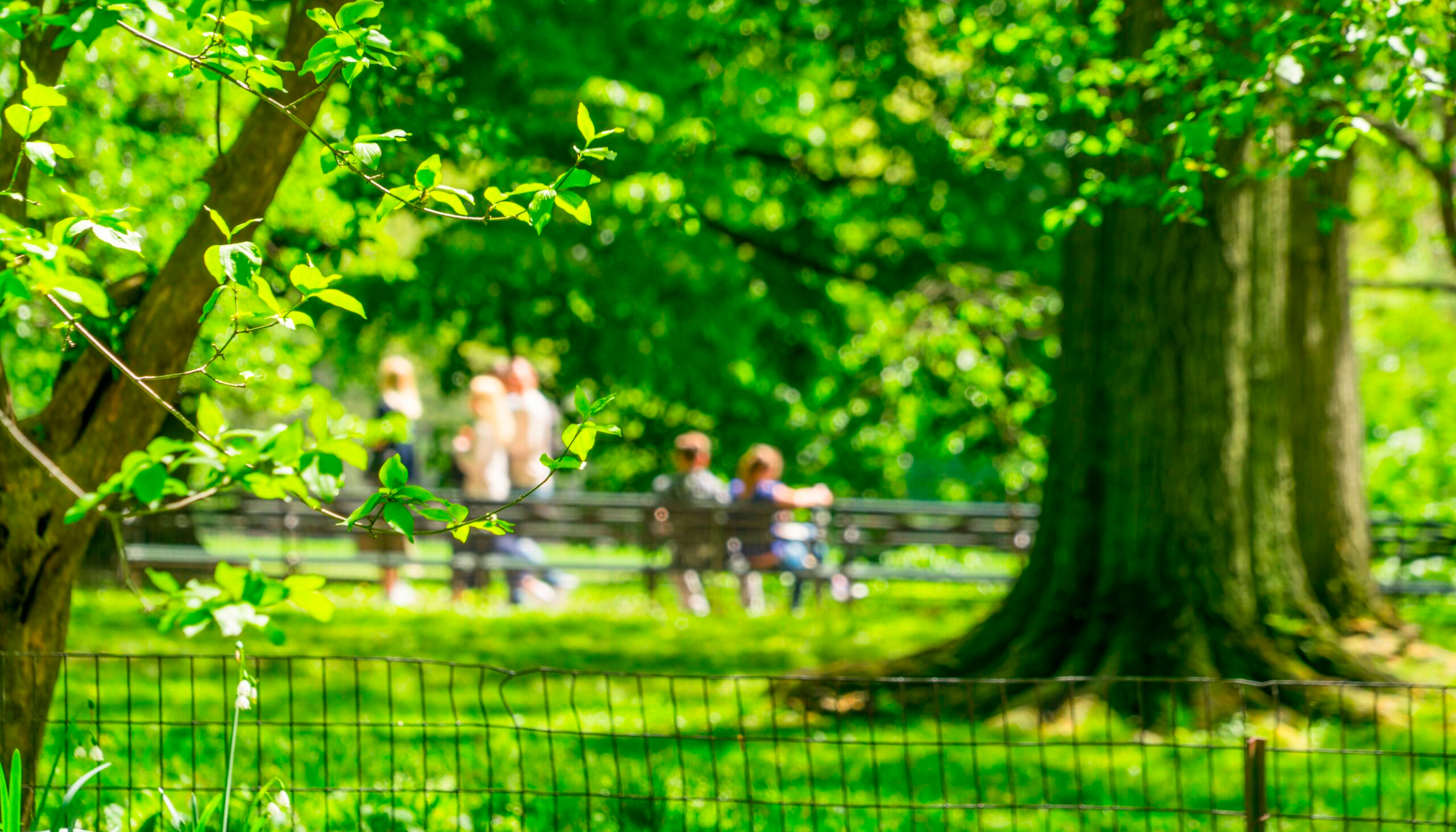 En la l�nea de digitalizaci�n, la mayor�a de las propuestas abordan tem�ticas generales como la biodiversidad y el patrimonio natural...