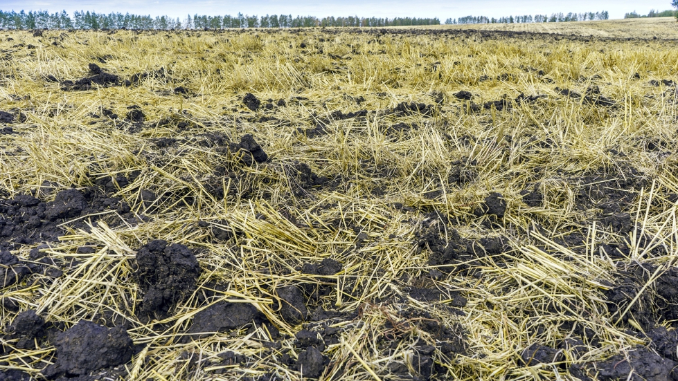 Los residuos agr�colas tienen un alto potencial de valorizaci�n por rutas biotecnol�gicas