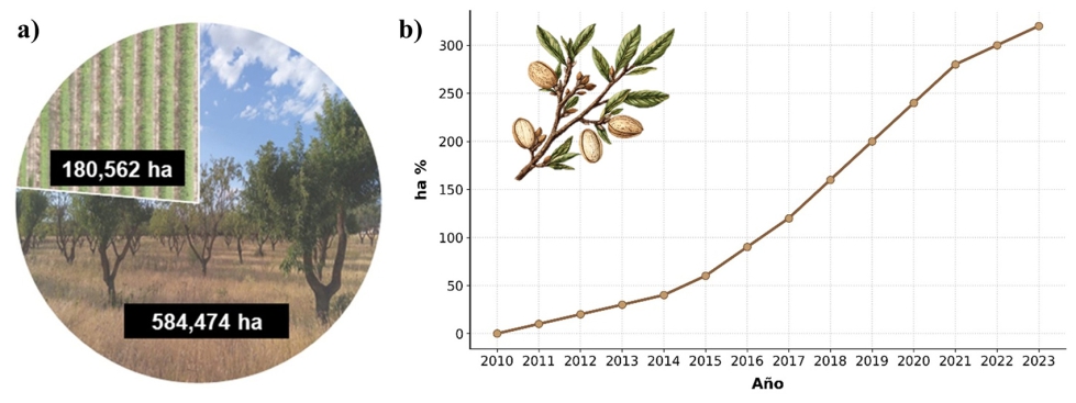 Figura 2. a) �rea (ha) ocupada por almendros en Espa�a en 2023. b) Aumento de la superficie ocupada por almendro en regad�o entre 2010 y 2023...
