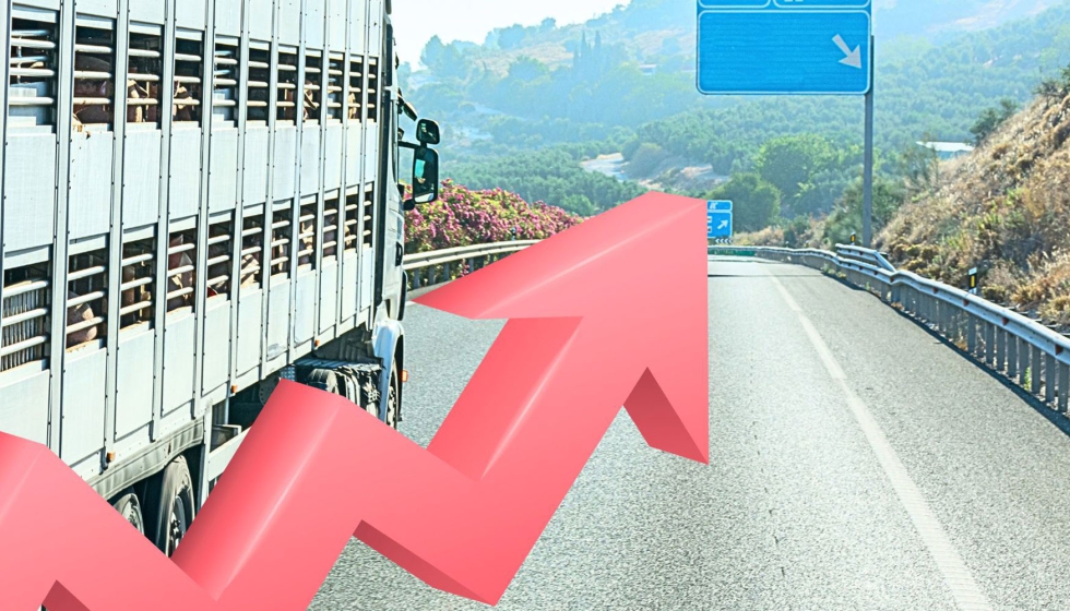 En su redaccin actual...