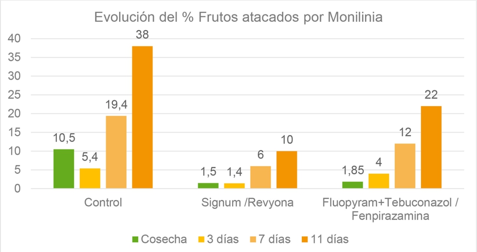 Figura 2. Incidencia de melocot�n afectado por Monilinia en Alcarr�s (Lleida) con un programa de tratamientos recomendado con Revyona�...