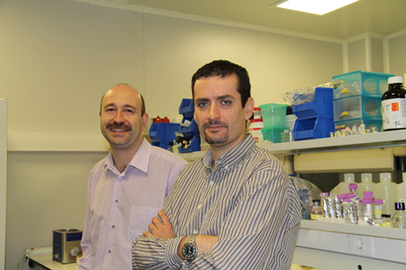 Los investigadores Jordi Llorca (izquierda) y Ernest Mendoza han desarrollado un proceso de sntesis de los clusters de oro mucho ms sencillo y...