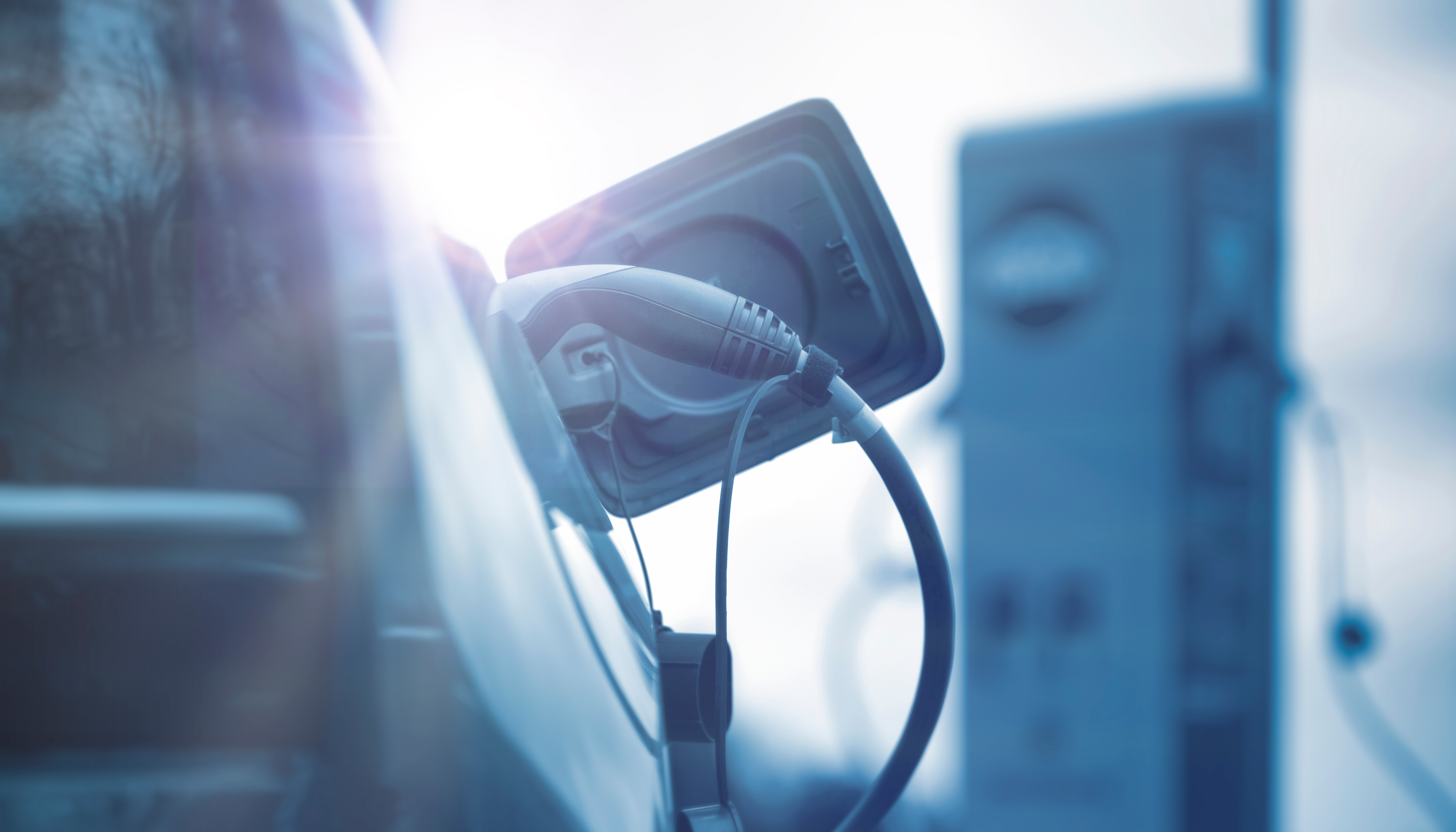 En la jornada organizada por T&E, Alinnea y Ecodes...