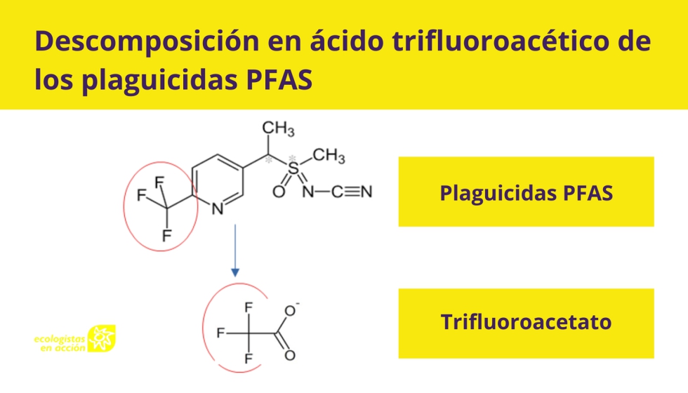 El �cido trifluoroac�tico es un metabolito o producto de degradaci�n de los plaguicidas per y polifluorados o PFAS