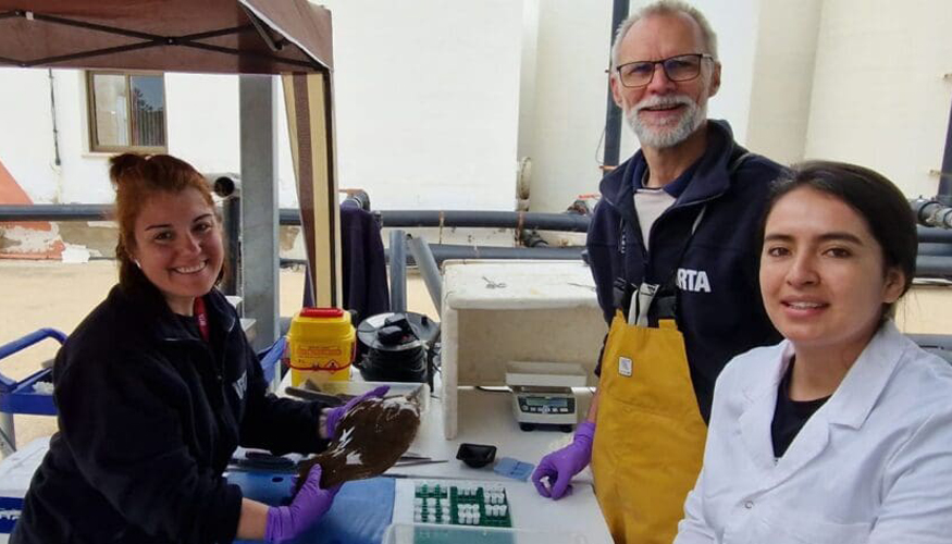 Investigadores del IRTA