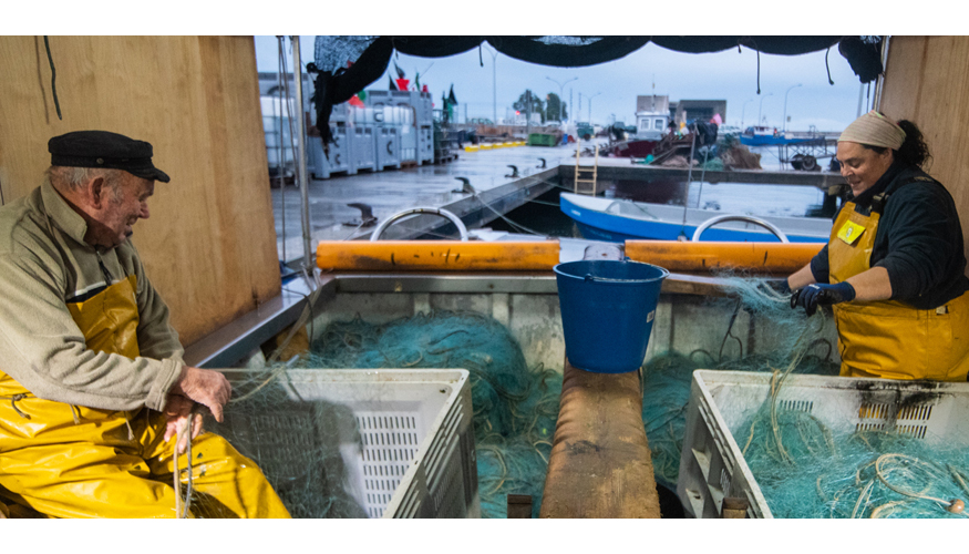 Las organizaciones de productores pesqueros son estructuras del sector, complementarias a las cofrad�as de pescadores