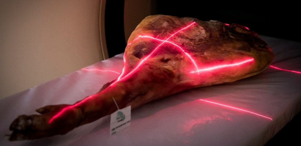 Proyecto piloto SAFETY...