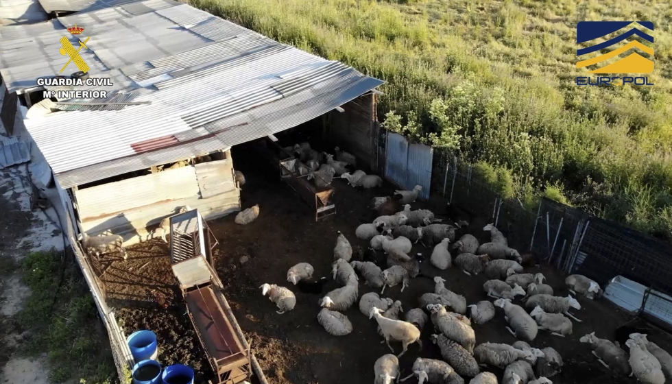 Imagen de la Guardia Civil de una explotacin que formaba parte de la red