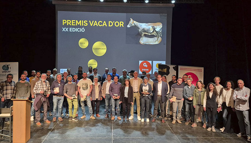 Foto de familia de los premiados en los Premios Vaca dOr 2025