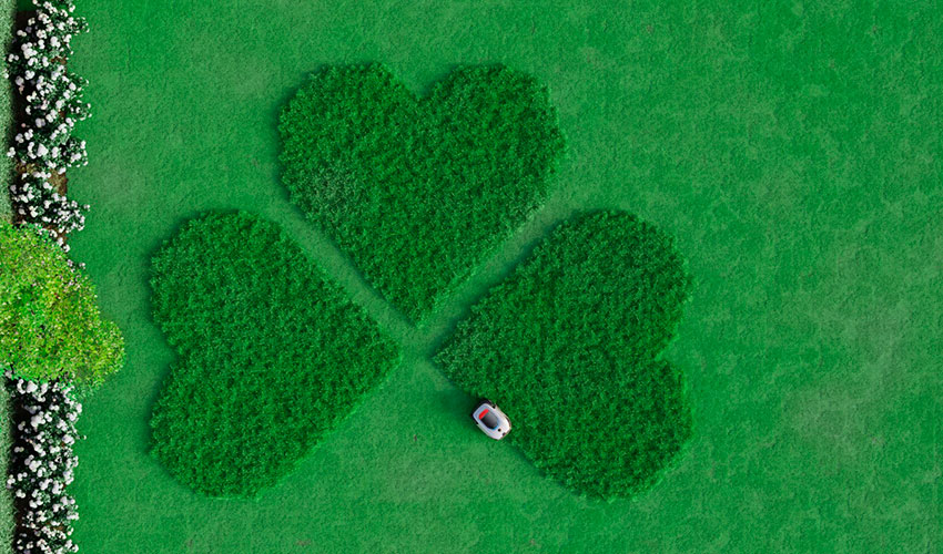 Robot cortac�sped de Dreame