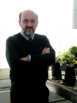 Pere Puigdomnech, profesor de investigacin del CSIC y director del Centro de Investigacin en Agrigenmica (CRAG), del CSIC-IRTA-UAB-UB...