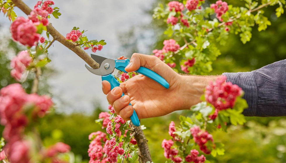Tijeras de jardn EasyCut
