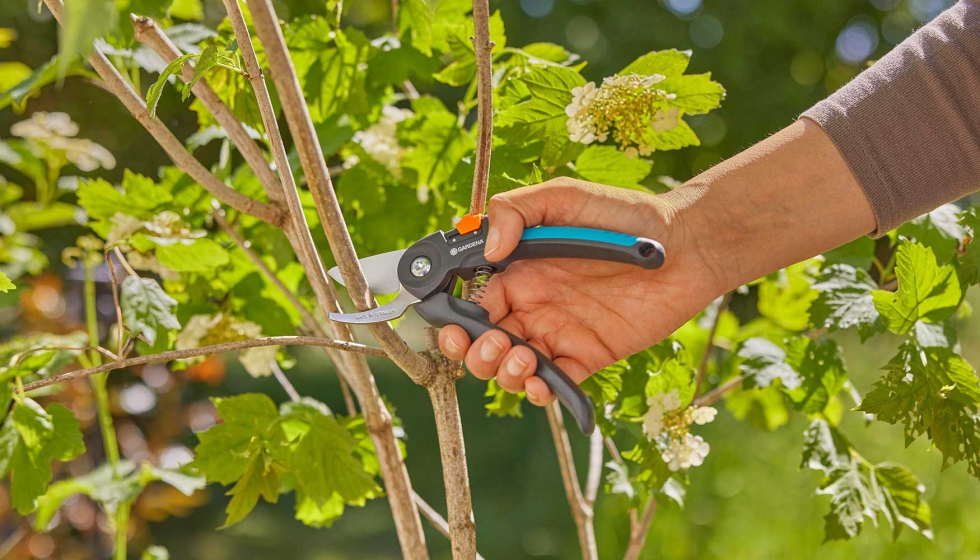PremiumCut para madera verde