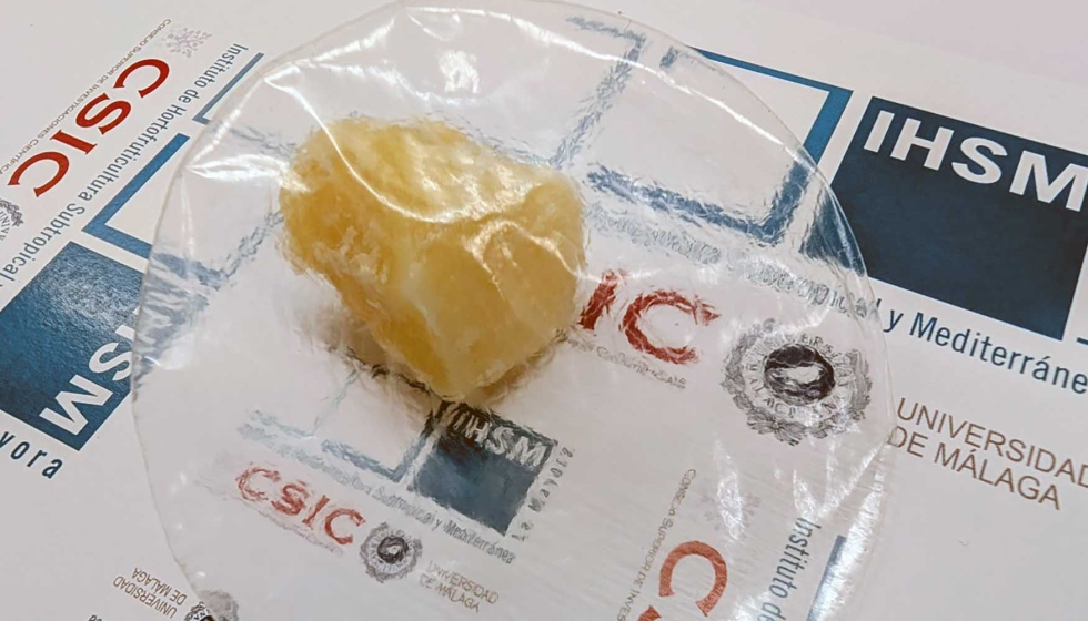 Bioplstico de ceras sobre un fragmento de cera de abeja natural. Foto: IHSM