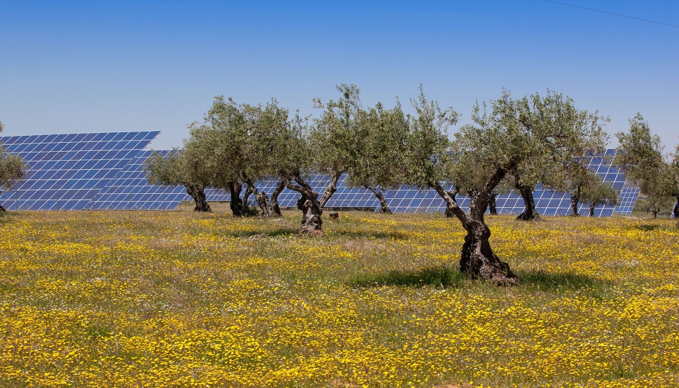 La percepci�n social es, en general, positiva y se asocia a la modernizaci�n y diversificaci�n de la econom�a local, seg�n refleja el estudio...