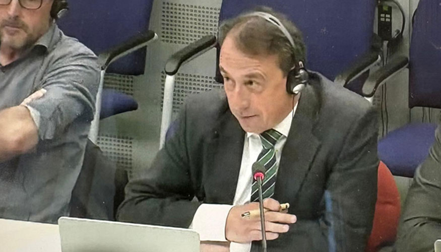 Ra�l Mu�iz, durante su comparecencia ante la Uni�n Europea