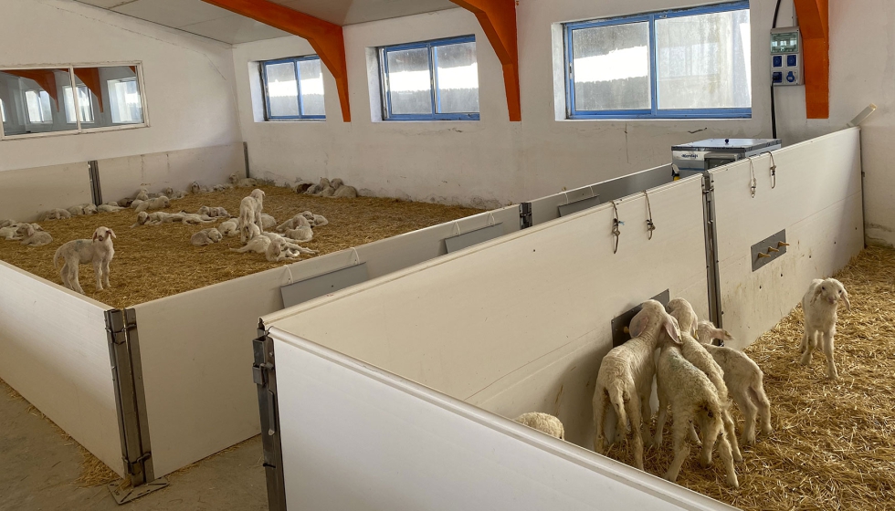 Sala de lactancia artificial de la Granja de Desarrollo Ovino AGM