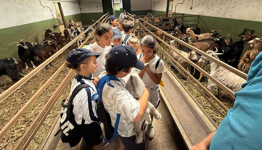 Algunos de los escolares en la granja de caprino