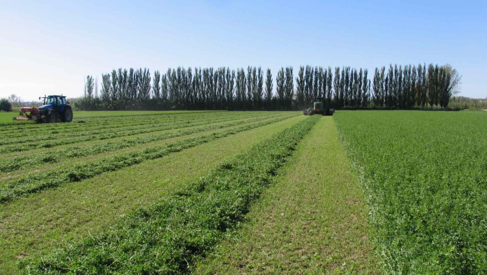 La incertidumbre clim�tica y las tensiones geopol�ticas se presentan como los principales factores de riesgo