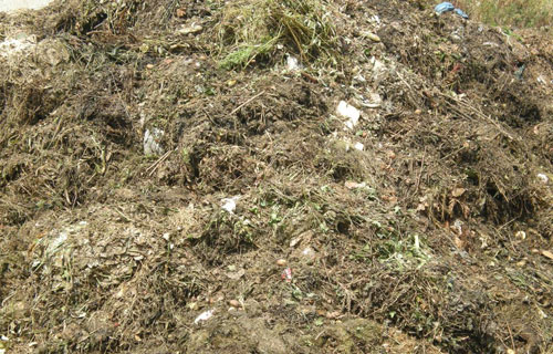 Biorresiduos de jardn a partir de residuos de jardines y parques, tanto pblicos como privados