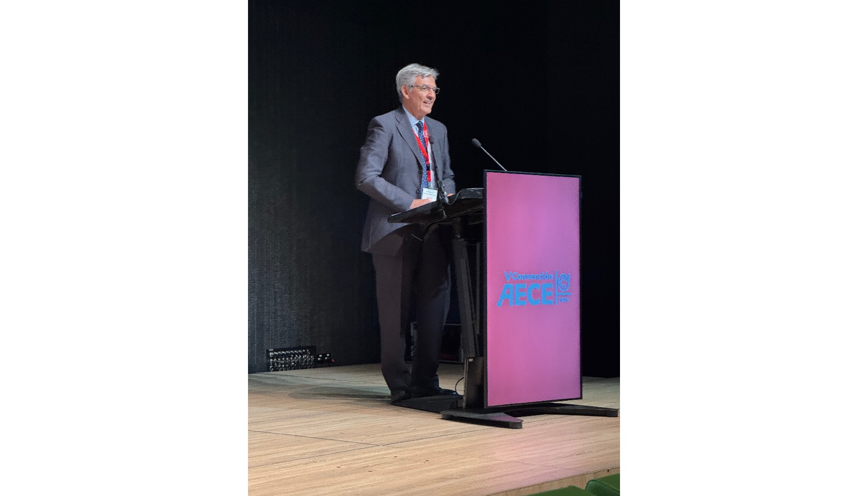  Fernando Ruiz, ex presidente de Deloitte