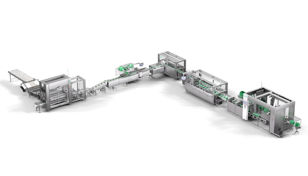 Foto de Galletas bajo presin: retos clave en un sector en transformacin