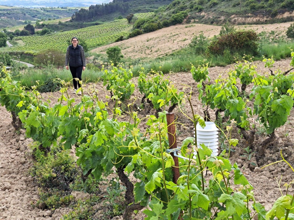 La startup AtField Technologies probar su tecnologa con la agricultora Carmen Fernndez Uriarte (Fuenmayor, La Rioja)