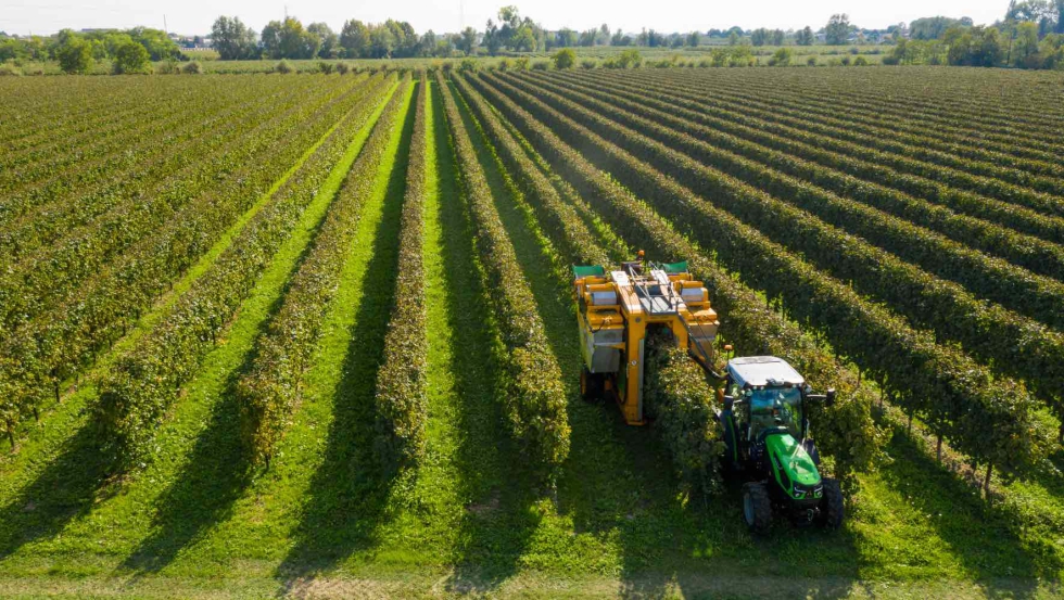 El primer trimestre de 2025 confirma la mejora continua de la cuota de mercado de SDF, a pesar de una nueva ca�da en los vol�menes globales...