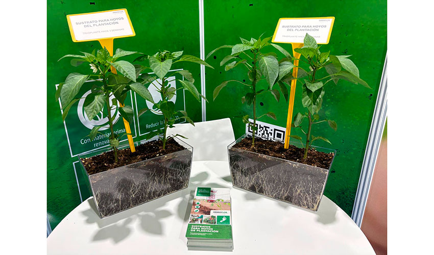 Sustrato para Hoyos de plantaci�n