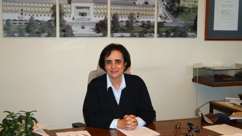 Laura Caldeira, presidente do Laboratrio Nacional de Engenharia Civil (LNEC)