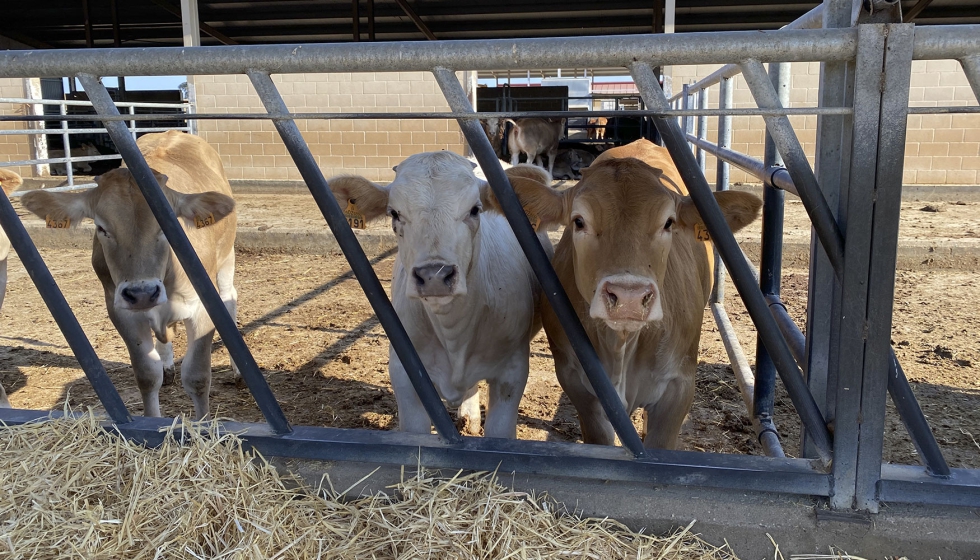 Foto de Bienestar animal y sostenibilidad en tiempos de cambio climtico