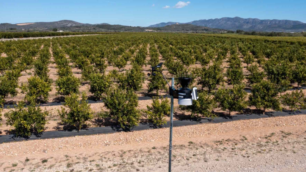 xFarm es un referente en la digitalizaci�n de la agricultura europea y tambi�n muy activa en Sudam�rica