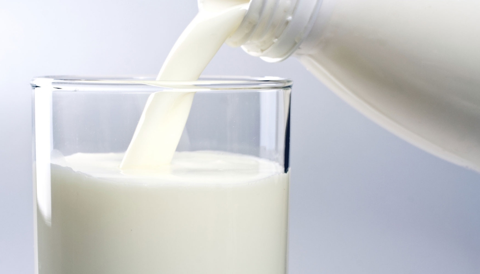 La leche envasada es la ms consumida en Espaa